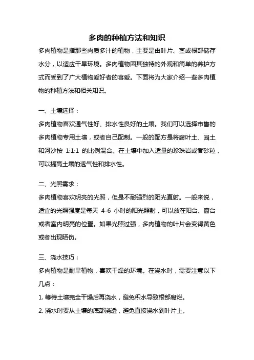 多肉的种植方法和知识
