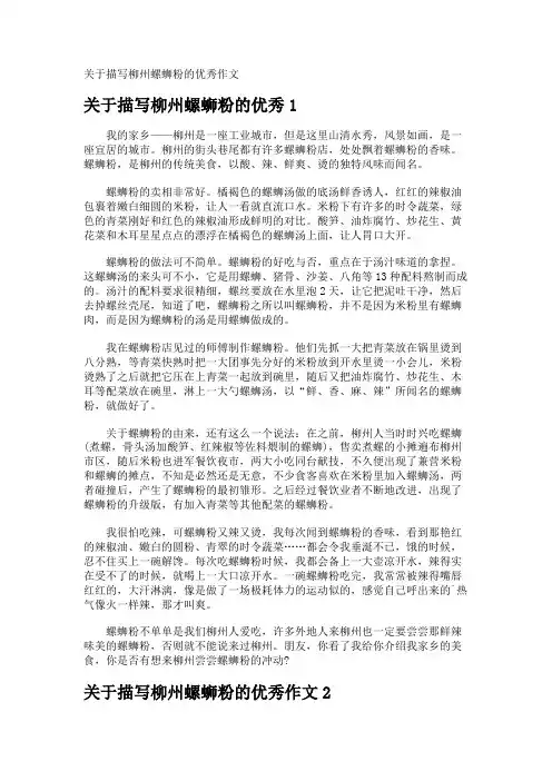 描写柳州螺蛳粉的优秀作文