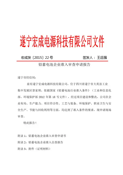 准入审查申请报告