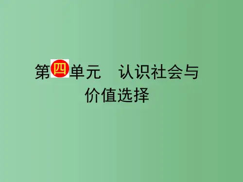 高考政治一轮复习 第4单元 第11课《寻觅社会的真谛》课件(必修4)