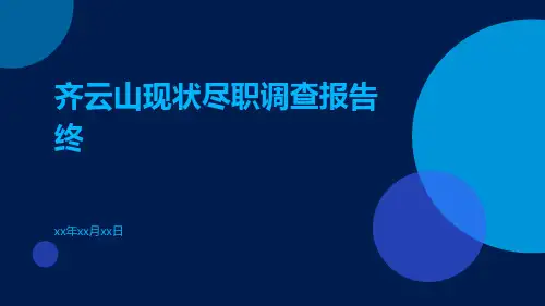 齐云山现状尽职调查报告终