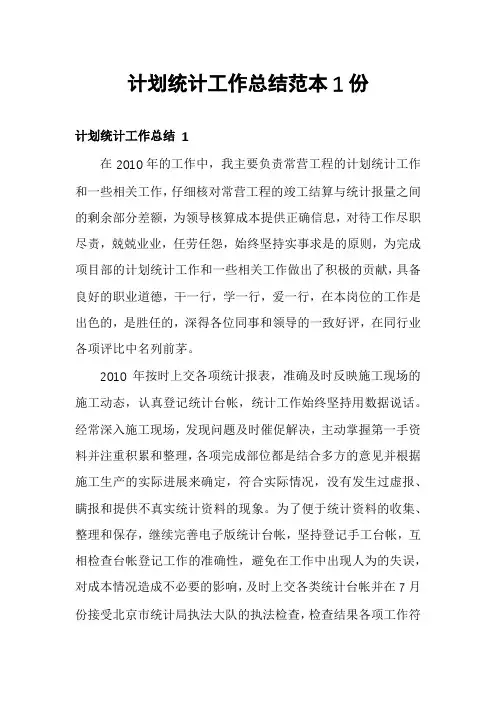 计划统计工作总结范本1份
