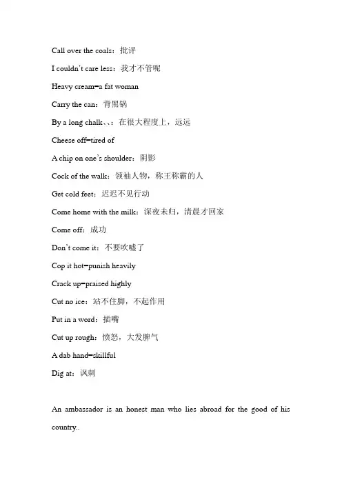 一些短语及双关语翻译