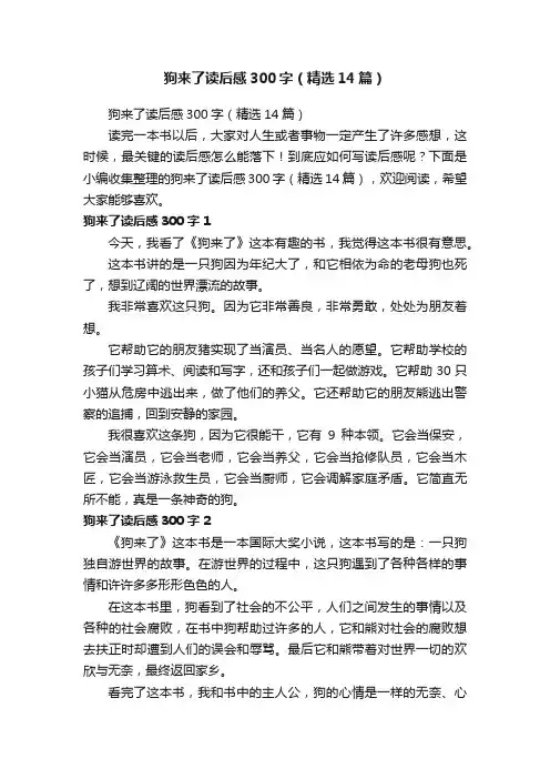 狗来了读后感300字（精选14篇）