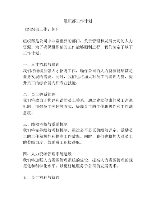 组织部工作计划