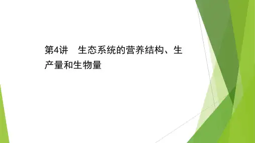 新高考浙科版生态系统的营养结构生产量和生物量(73张)课件浙江专用