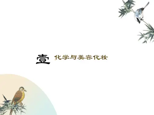 化学与美容化妆
