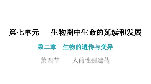 人教版八年级生物下册7. 人的性别遗传 课件