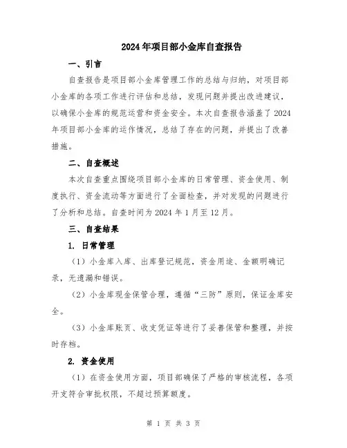 2024年项目部小金库自查报告