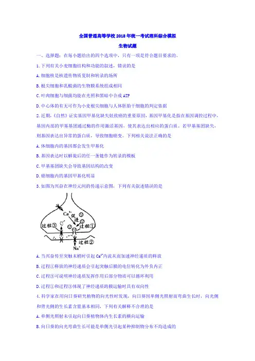 全国普通高等学校2018年统一考试理科综合模拟生物试题