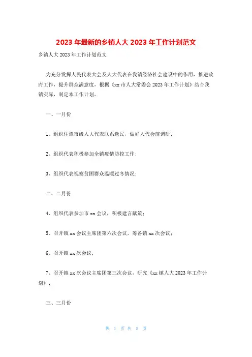 2023年最新的乡镇人大2023年工作计划范文