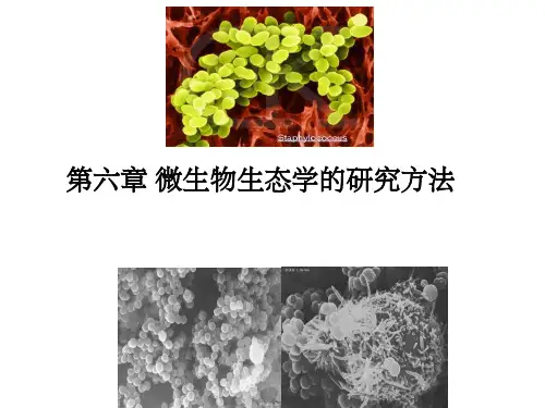 第六章 微生物生态学的研究方法ppt课件