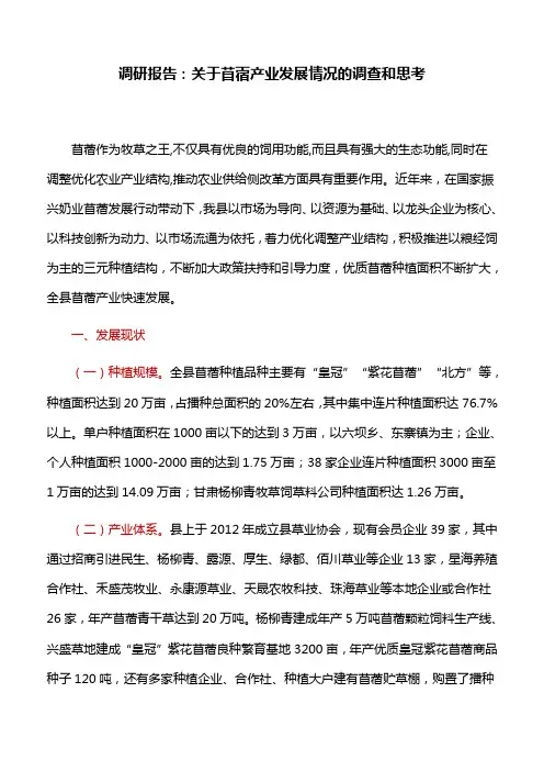 调研报告：关于苜蓿产业发展情况的调查和思考