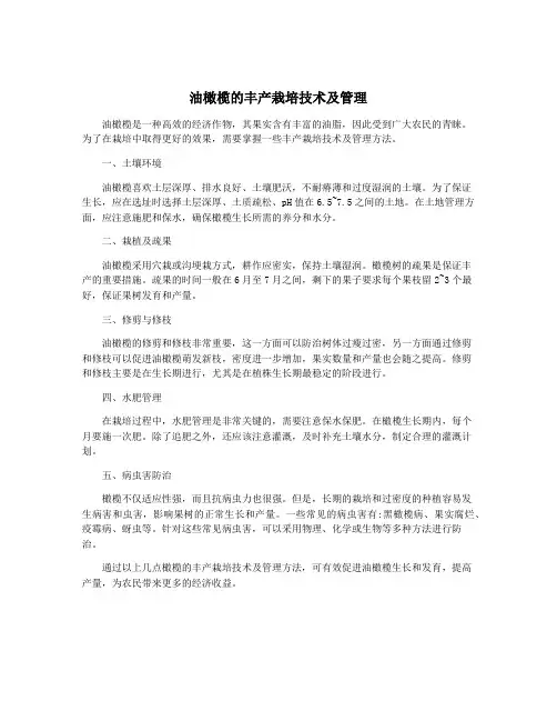 油橄榄的丰产栽培技术及管理