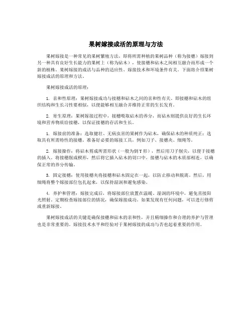 果树嫁接成活的原理与方法