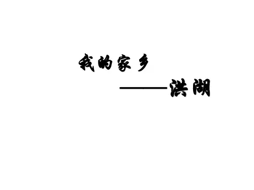 我的家乡洪湖