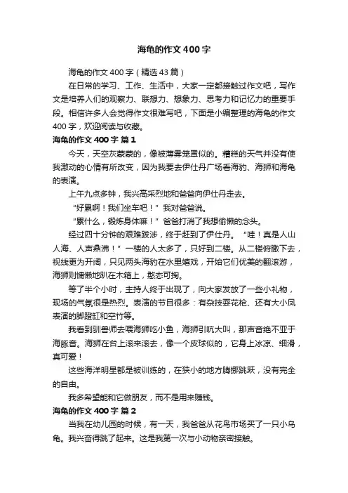 海龟的作文400字（精选43篇）