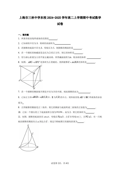 上海市三林中学东校2024-2025学年高二上学期期中考试数学试卷