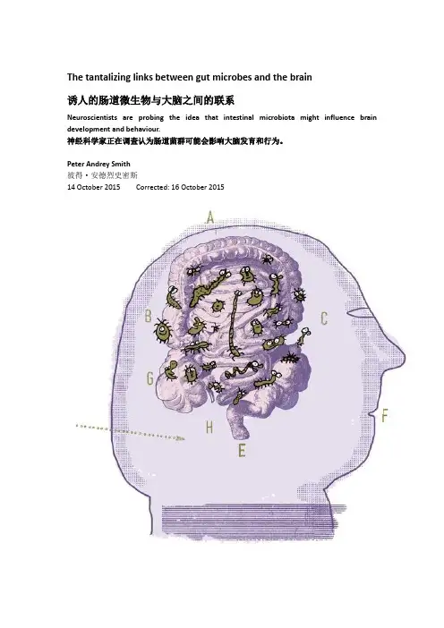 诱人的肠道微生物与大脑之间的联系(Nature：译文在后)