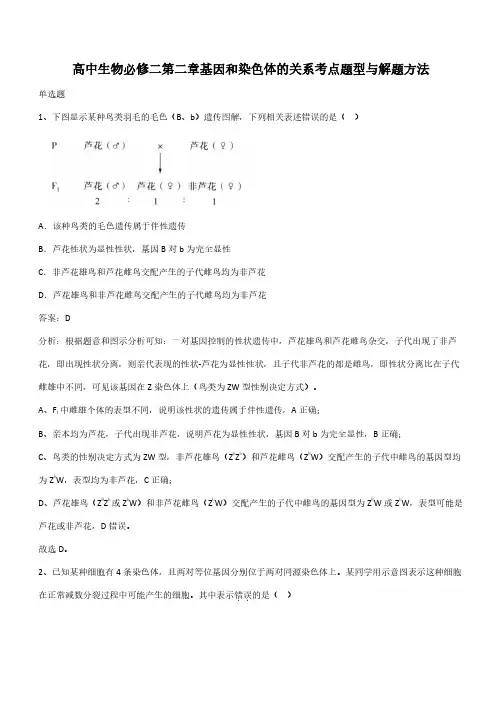 高中生物必修二第二章基因和染色体的关系考点题型与解题方法(带答案)