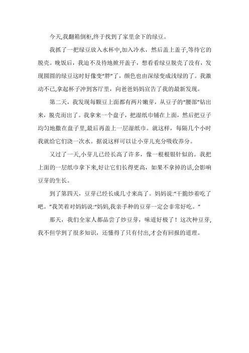 种豆芽发芽小作文400字
