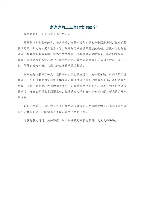 谁谁谁的二三事作文500字