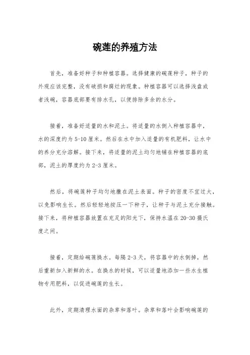 碗莲的养殖方法