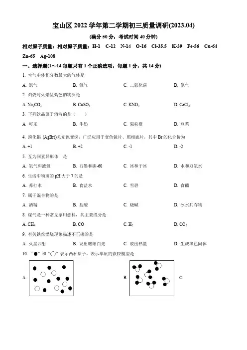 精品解析：2023年上海市宝山区中考二模化学试题(原卷版)