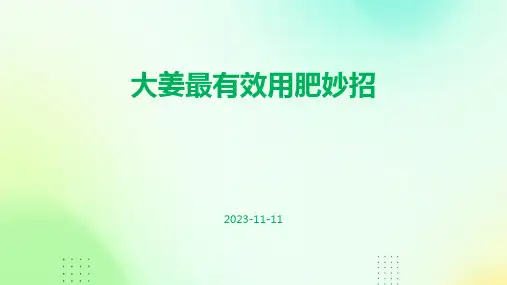 大姜最有效用肥妙招