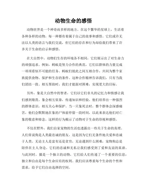 动物生命的感悟