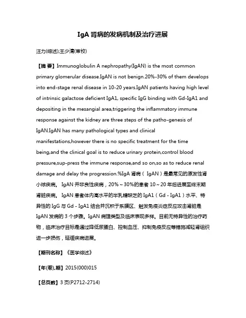 IgA肾病的发病机制及治疗进展