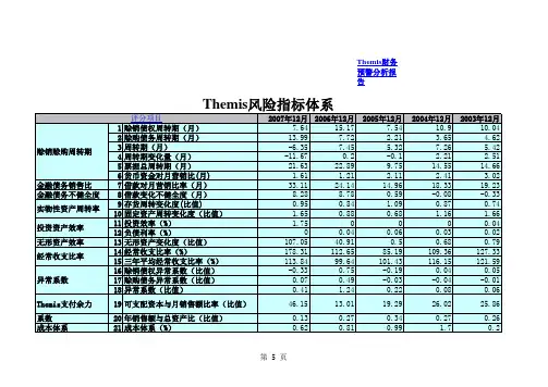 财务风险预警分析报告excel表