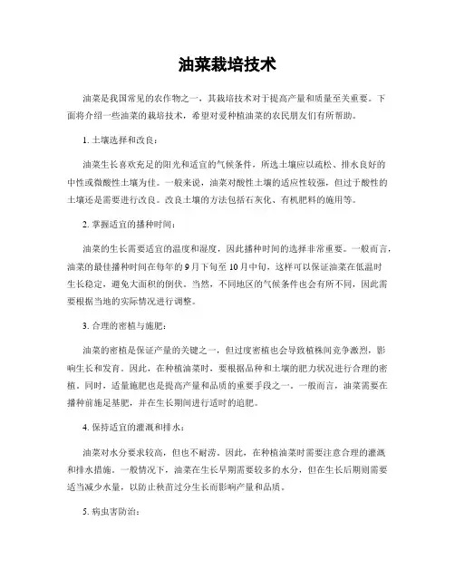 油菜栽培技术