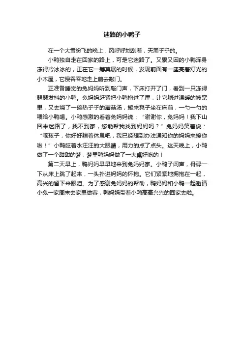 迷路的小鸭子