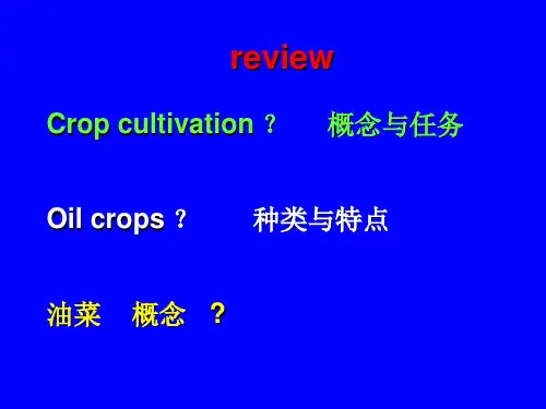 作物栽培学油菜栽培