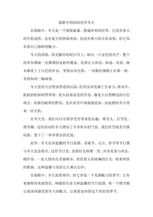 我眼中的缤纷世界冬天