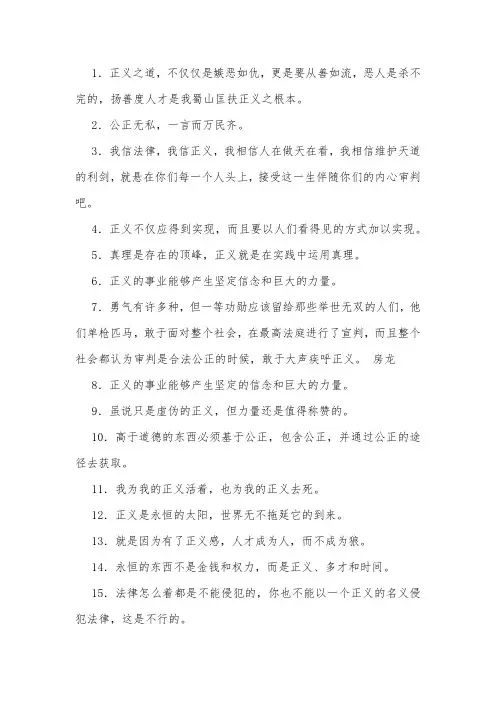支持正义经典句子