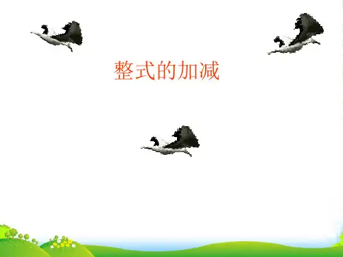 人教版七年级数学上册《整式的加减》课件(共12张PPT)