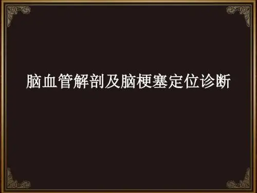 脑血管解剖及脑梗塞定位诊断动脉系统