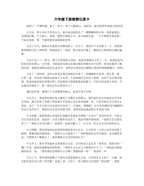 六年级下册植物记录卡