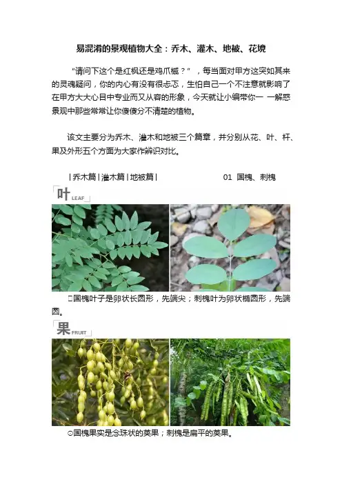 易混淆的景观植物大全：乔木、灌木、地被、花境