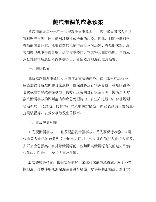 蒸汽泄漏的应急预案