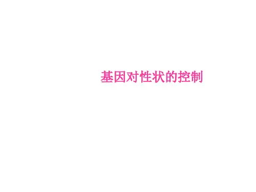 基因对性状的控制课件