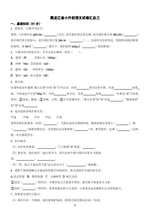 黑龙江省小升初语文试卷汇总三(含答案)