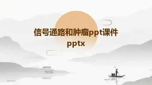 2024年度信号通路和肿瘤ppt课件pptx