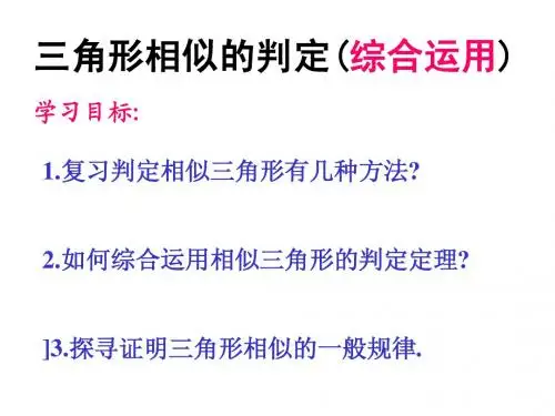 相似三角形复习