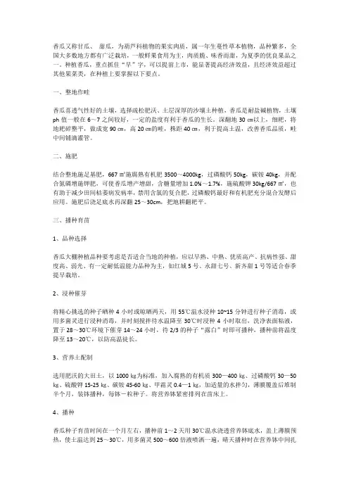 北方香瓜的种植管理技术