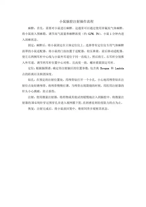 小鼠脑腔注射操作流程