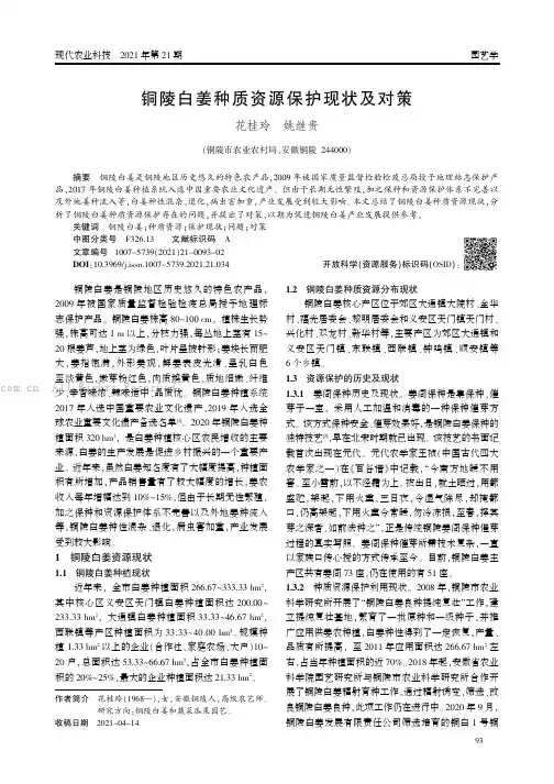 铜陵白姜种质资源保护现状及对策