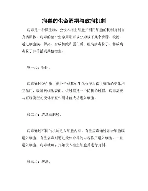 病毒的生命周期与致病机制